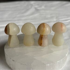 Crystal mushroom bundle